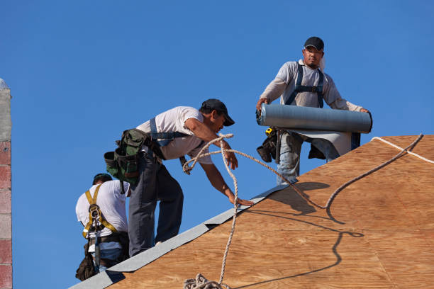Best Roof Waterproofing Services  in Potosi, TX